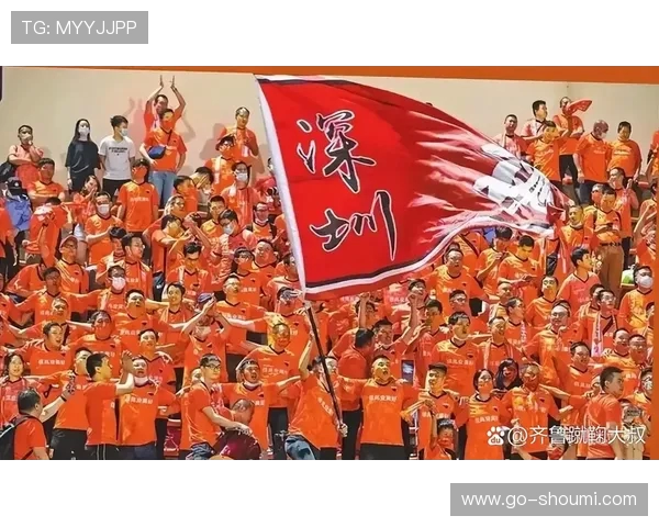 广州队深圳队面临解散危机 足协清欠名单透露生存难题